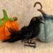 Tempest posing with pumpkins (sold separately)